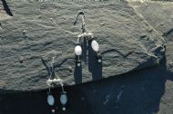 Snowflake Obsidian 